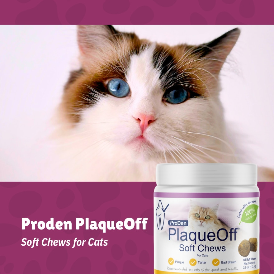 Proden PlaqueOff Cat Soft Chew 45's