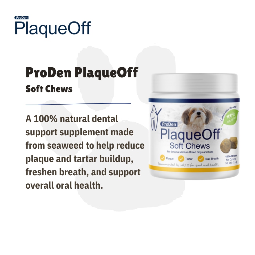 Proden PlaqueOff Dog Soft Chew 45's