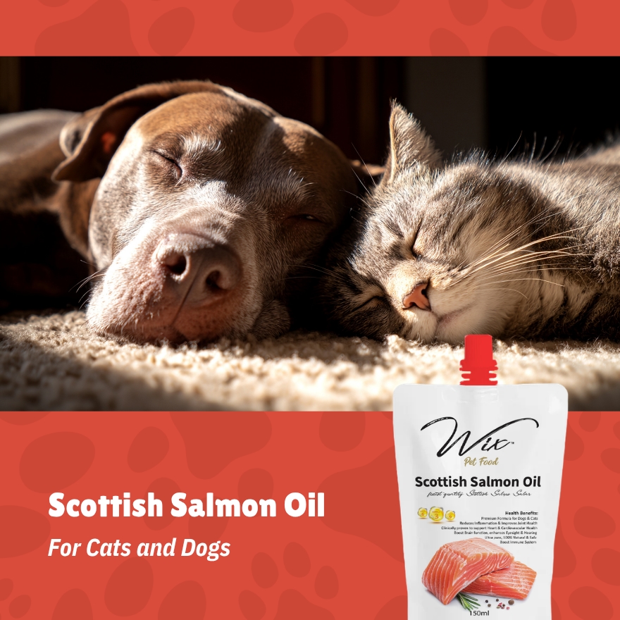 Wix Scottish Salmon Oil image