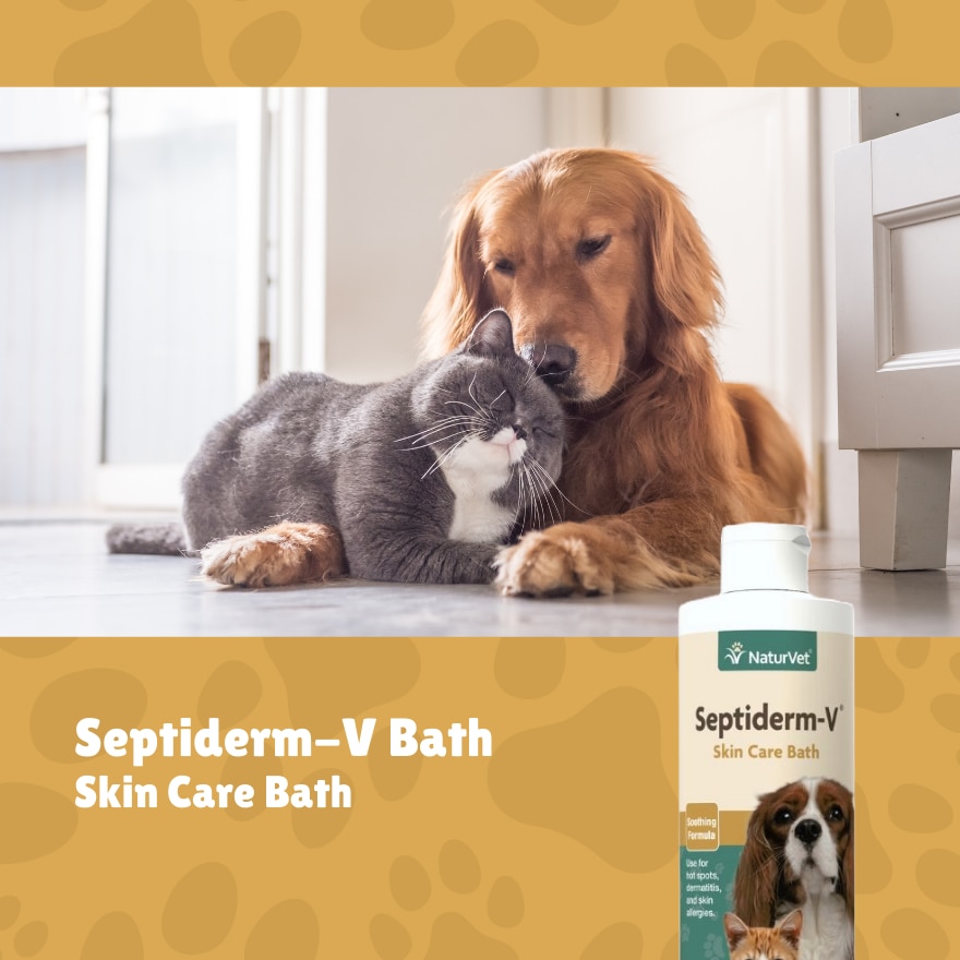 Septiderm V Bath 8Oz