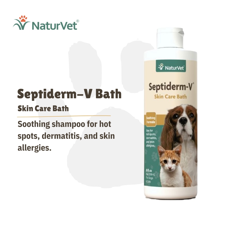 Septiderm V Bath 8Oz