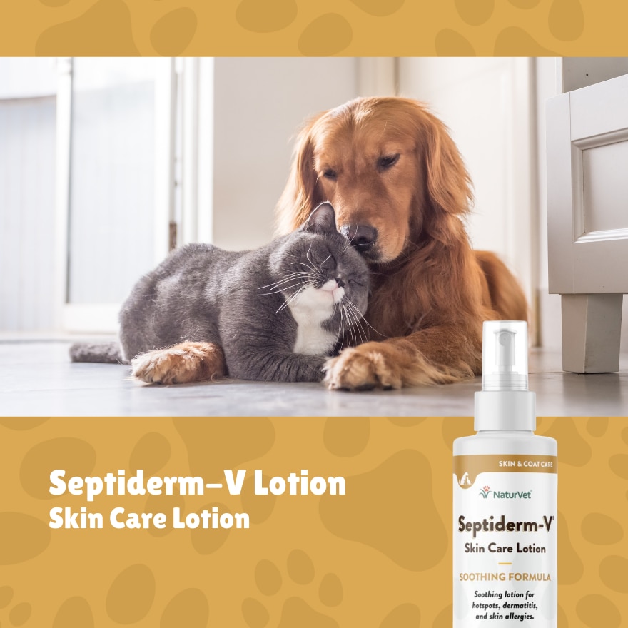 Septiderms V Skin Care Lotion 8Oz