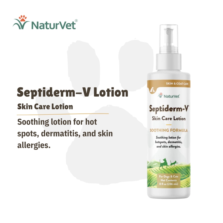 Septiderms V Skin Care Lotion 8Oz