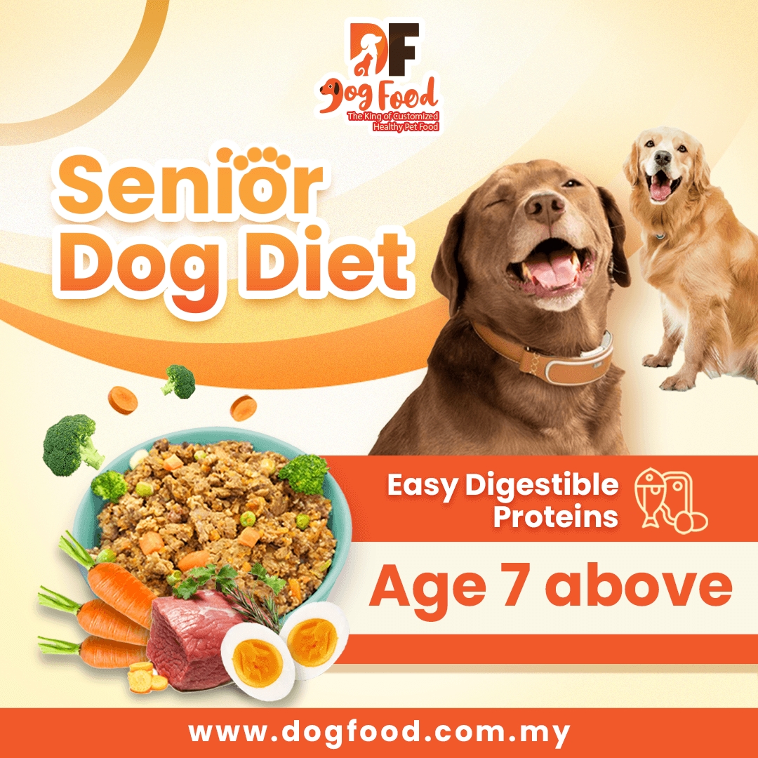 Senior Diet - Meat Maniac 1 pack