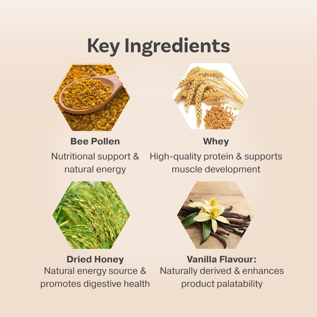HDI KIDS™ HoneyBee PollenS - Supports Focus, Cognitive Development & Immunity - Kesihatan Kanak-Kanak - 60 Tablets
