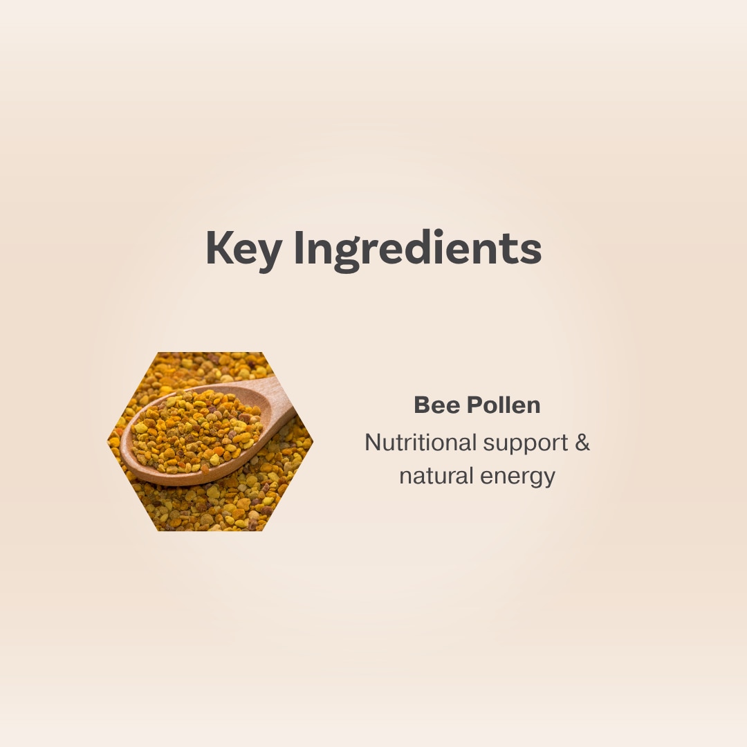 HDI Origins™ Pollenergy 520 - 250+ Nutrients - Support Stamina Improve Metabolism - Kesihatan Minda Jantung - 90 Tablets