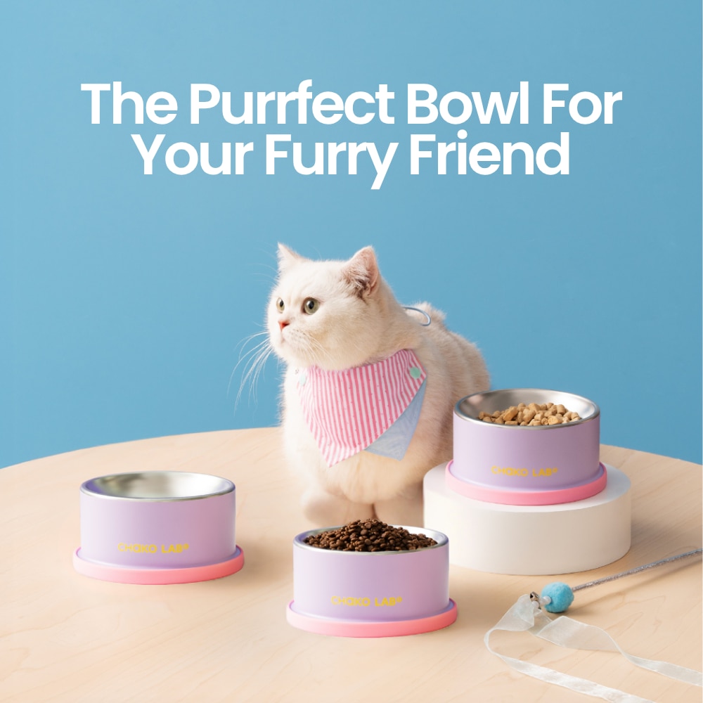 Chako Lab Cat Bowl (SUS304) - Taro Purple