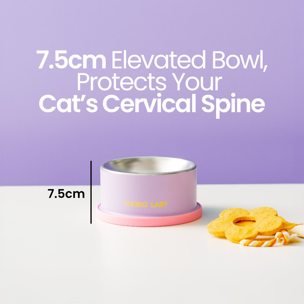 Chako Lab Cat Bowl (SUS304) - Taro Purple