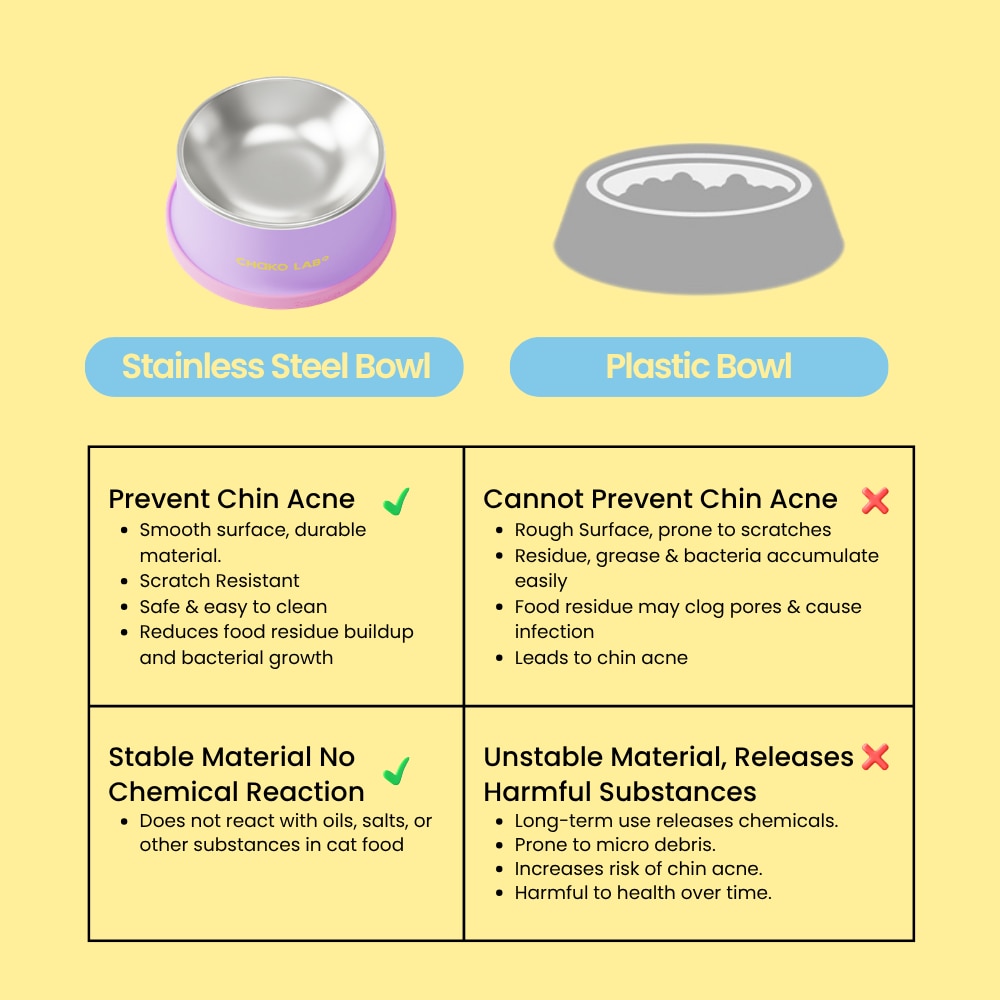 Chako Lab Cat Bowl (SUS304) - Taro Purple