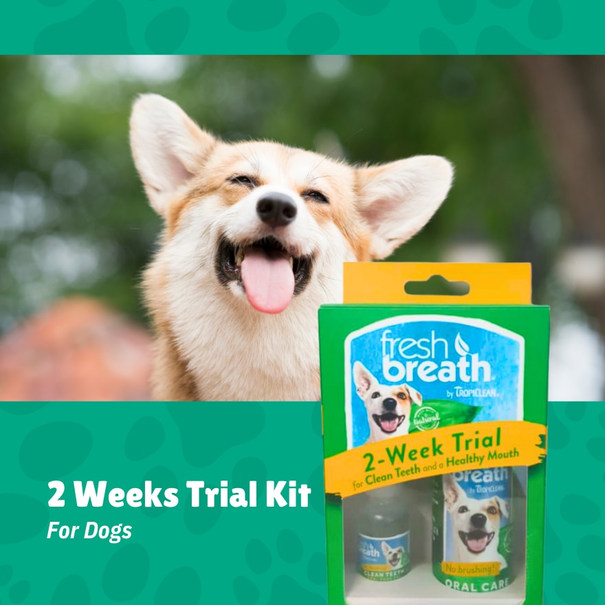 2 Weeks Dental Trial Kit for Dogs