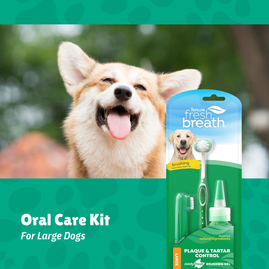 Fresh Breath Oral Care Kit for Large Dogs