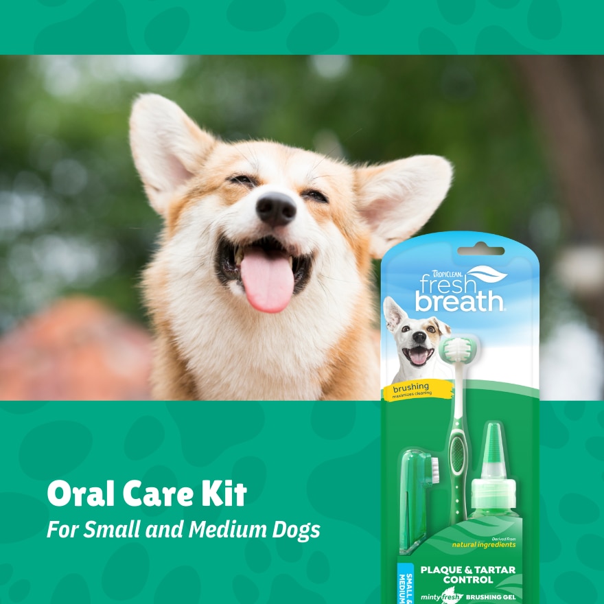 Fresh Breath Oral Care Kit for Small & Medium Dogs