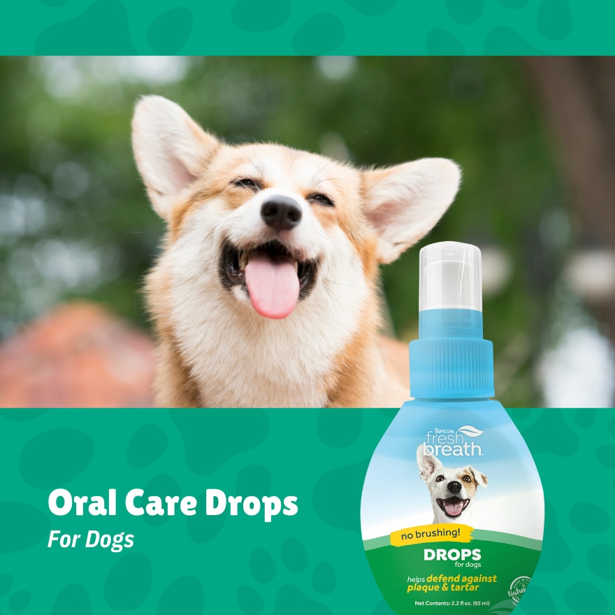 Fresh Breath Drops For Dogs