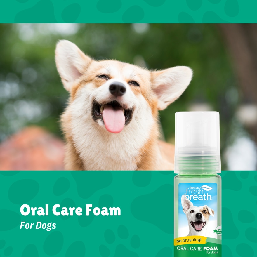 Fresh Breath Oral Care Foam For Dogs
