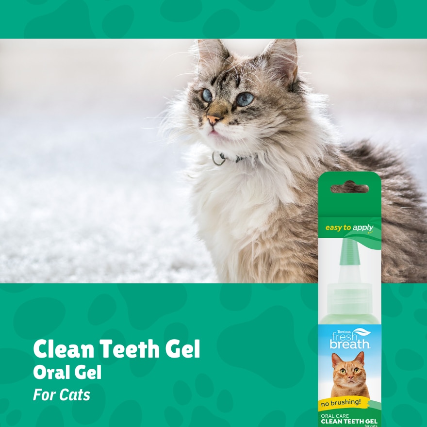 Fresh Breath Oral Care Clean Teeth Gel for Cats
