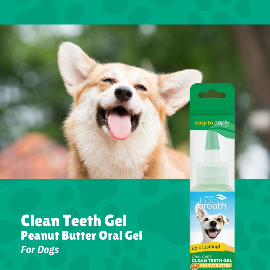 Fresh Breath Oral Care Gel For Dogs - Peanut Butter Flavor