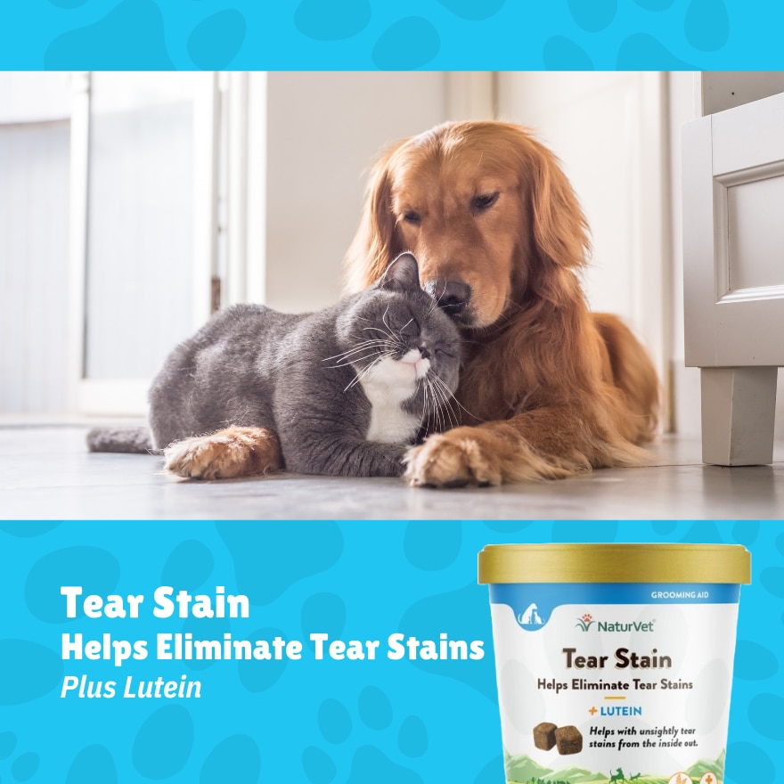 Tear Stain Supplement Soft Chews 70s