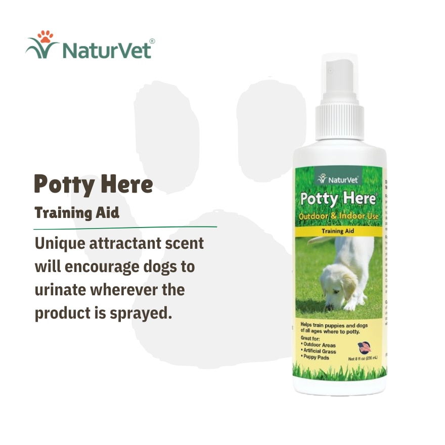 Pottty Here Training Aid Spray 8Oz