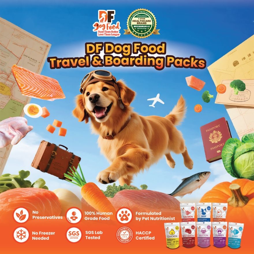 Grain Free Diet - Chicken 1 pack