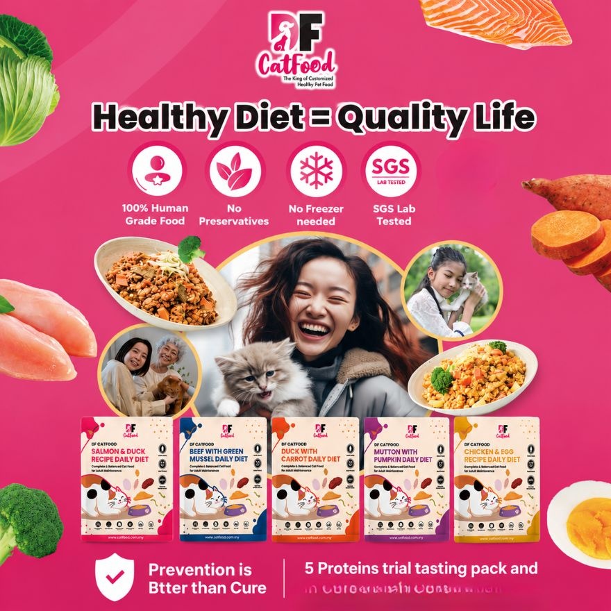 Duck with Carrot Wet Cat Food- 1 pack