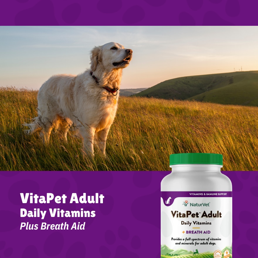 Vitapet Adult Daily Vitamins Chewable Tablets 180s