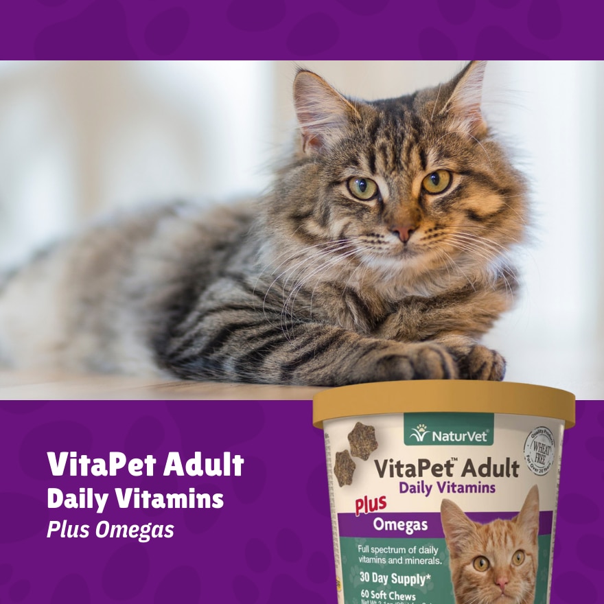 VitaPet Adult Daily Vitamins Plus Omegas for Cats 60's