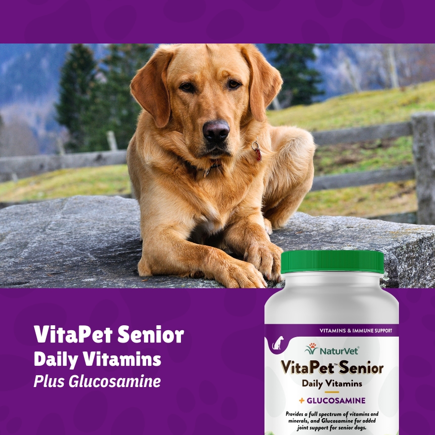 Vitapet Senior Daily Vitamins with Glucosamine Chewable Tablets 180s
