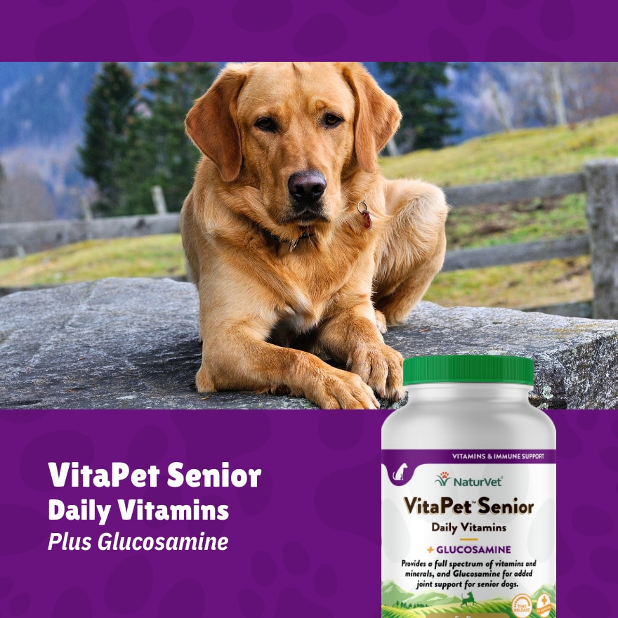 Vitapet Adult Daily Vitamins With Glucosamine Chewable Tablets 60s