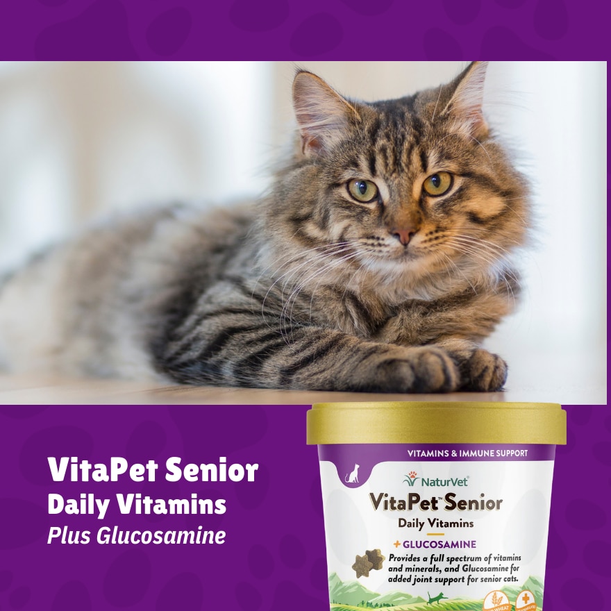 Vitapet Senior Daily Vitamin Plus Glucosamine for Cats 60's