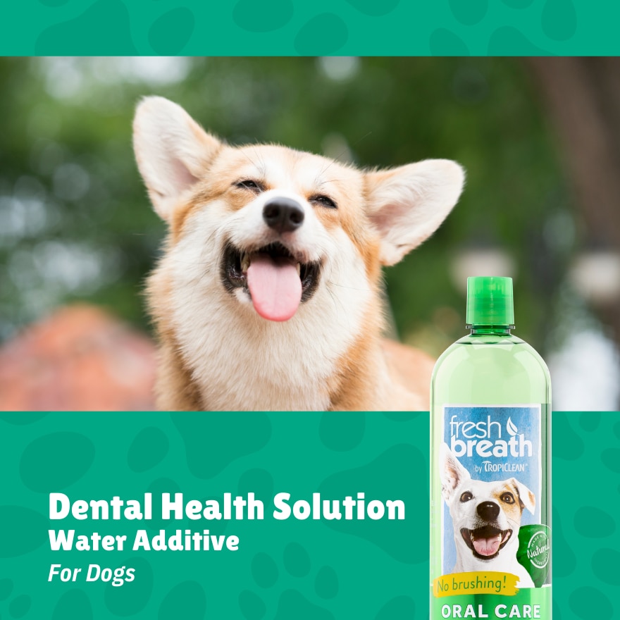 Dental Health Solution for Dogs 33.8oz.(1L)