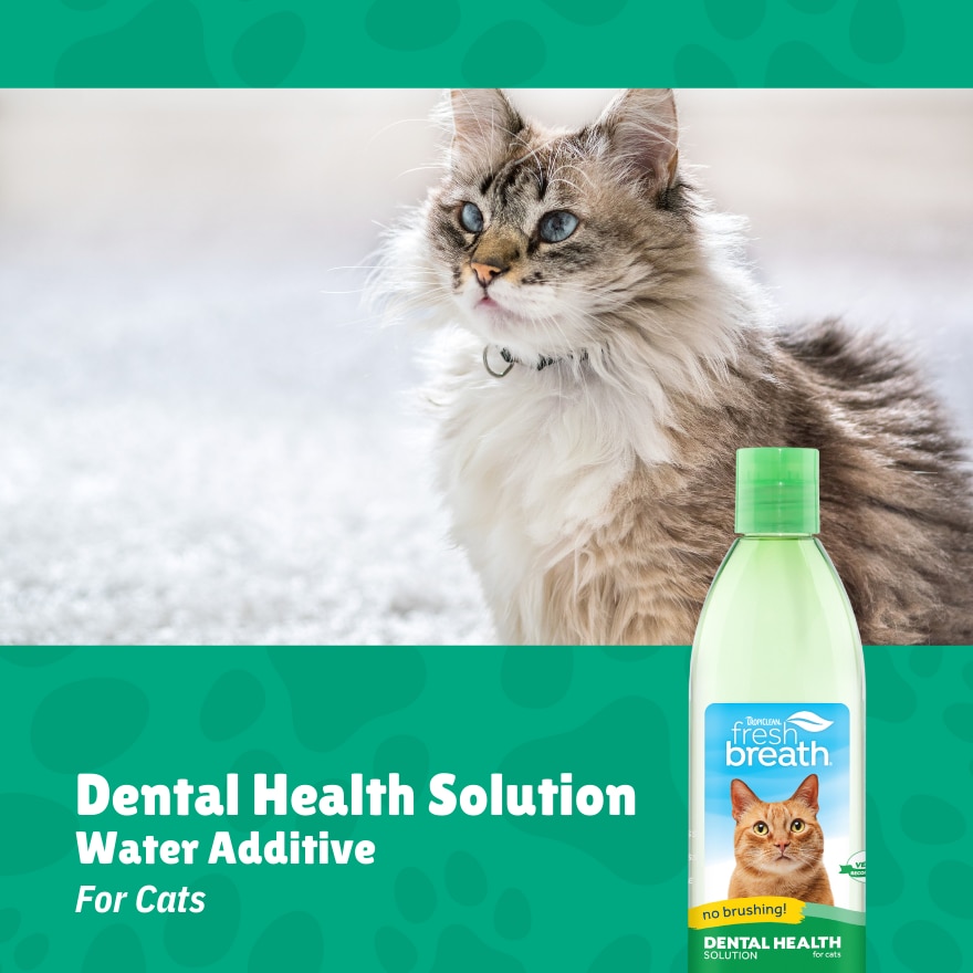 Fresh Breath Dental Health Solution for Cats