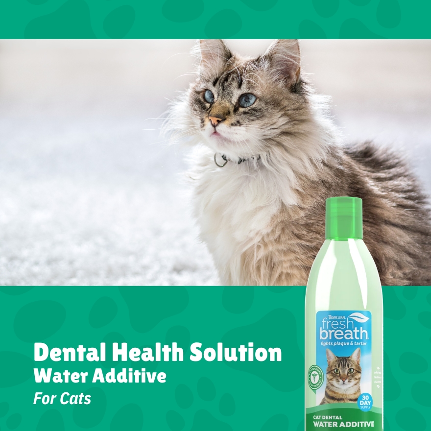 Fresh Breath Dental Health Solution for Cats image
