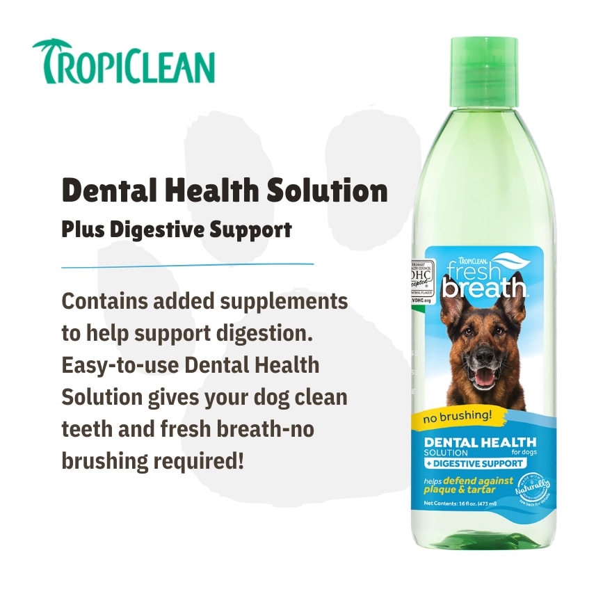 Dental Health Solution Plus Digestive Support For Dogs