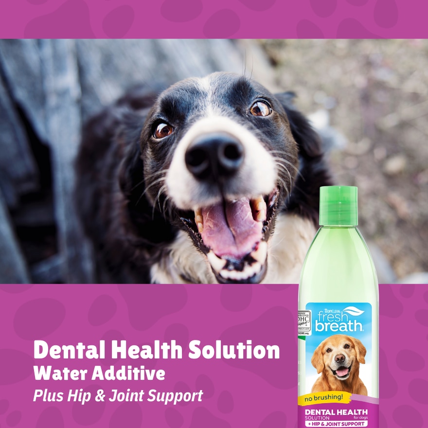 Dental Health Solution Plus Hip & Joint For Dogs