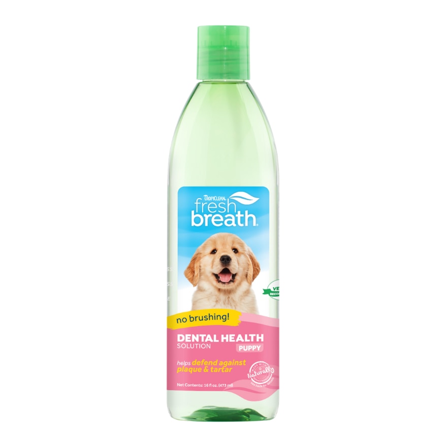 Dental Health Solution For Puppies