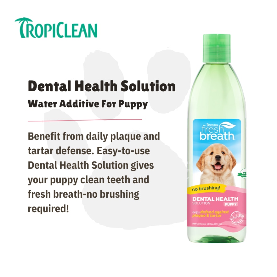 Dental Health Solution For Puppies