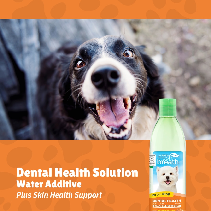 Dental Health Solution Plus Skin Health For Dogs