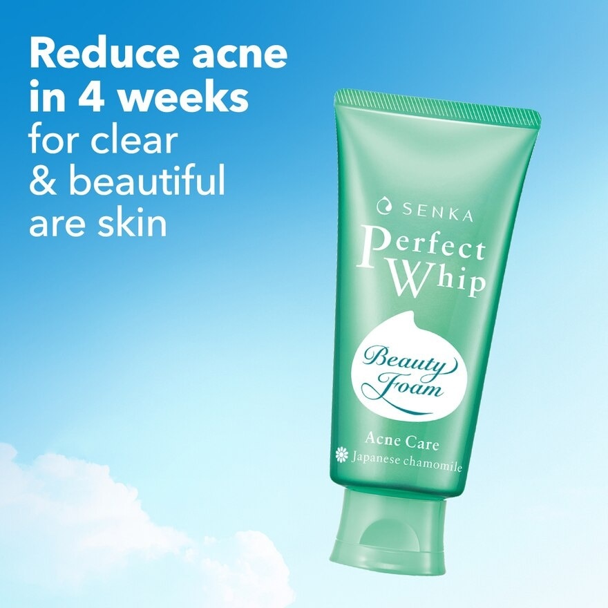 Perfect Whip Acne Care 100g