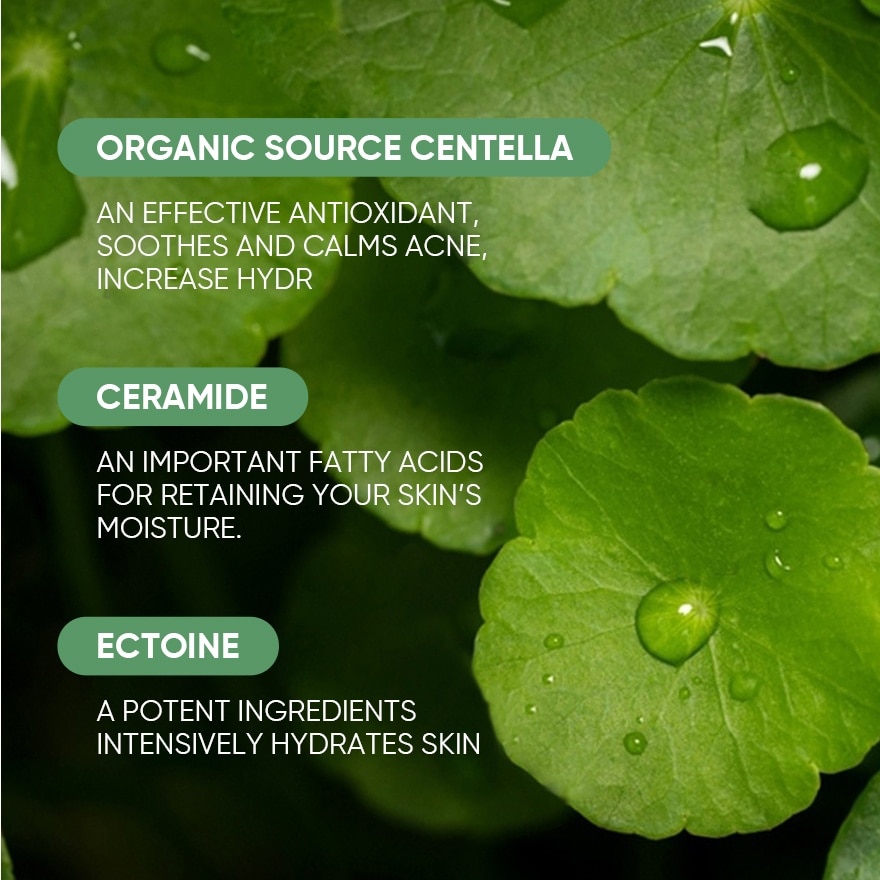 Pure Centella Acne Calming Toner 80ml