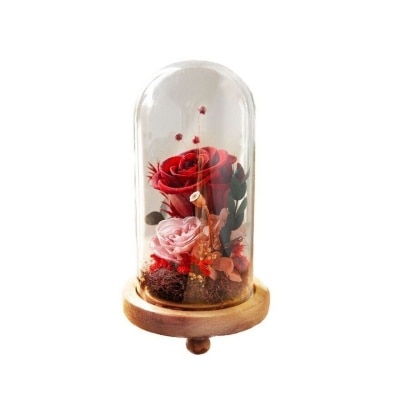SNOWY FLOWER Preserved Rose Glass Dome