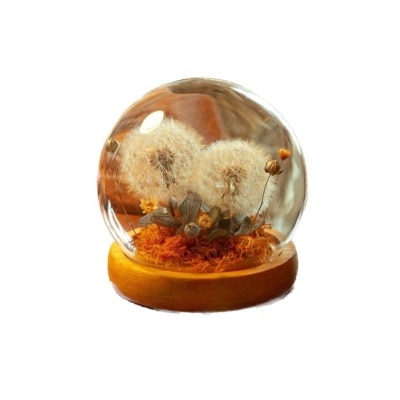 SNOWY FLOWER Twinkle Duo Preserved Dandelion Glass Dome