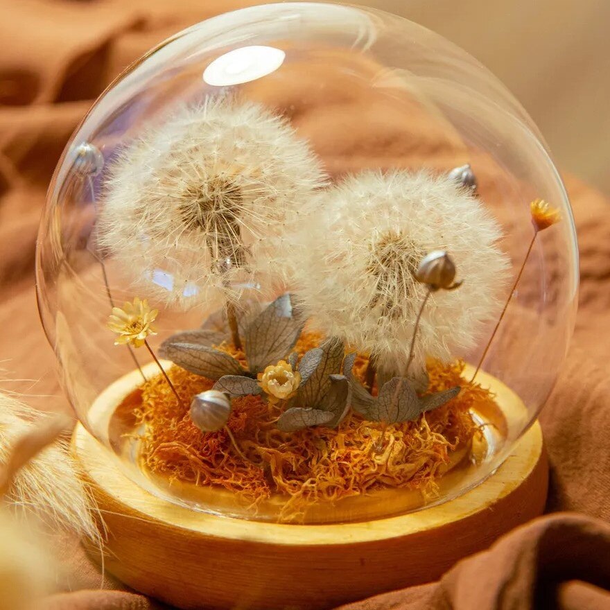 Twinkle Duo Preserved Dandelion Glass Dome