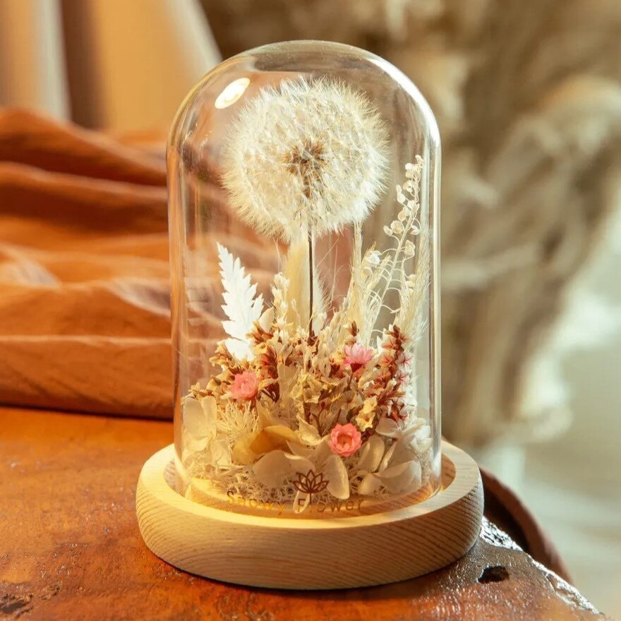 Fairy White Preserved Dandelion Glass Dome