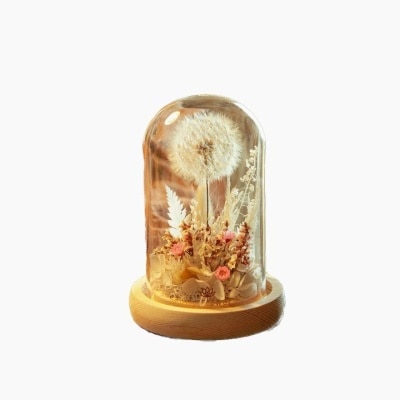 SNOWY FLOWER Fairy White Preserved Dandelion Glass Dome
