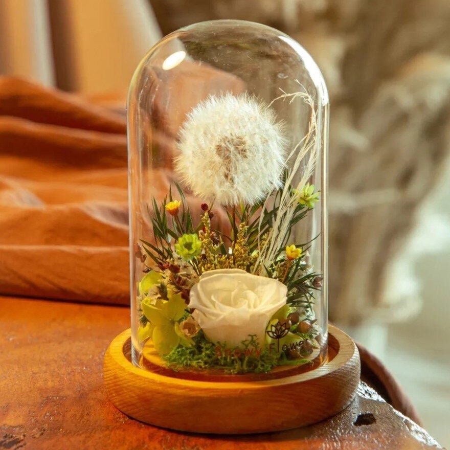 Mystical Green Preserved Dandelion Glass Dome