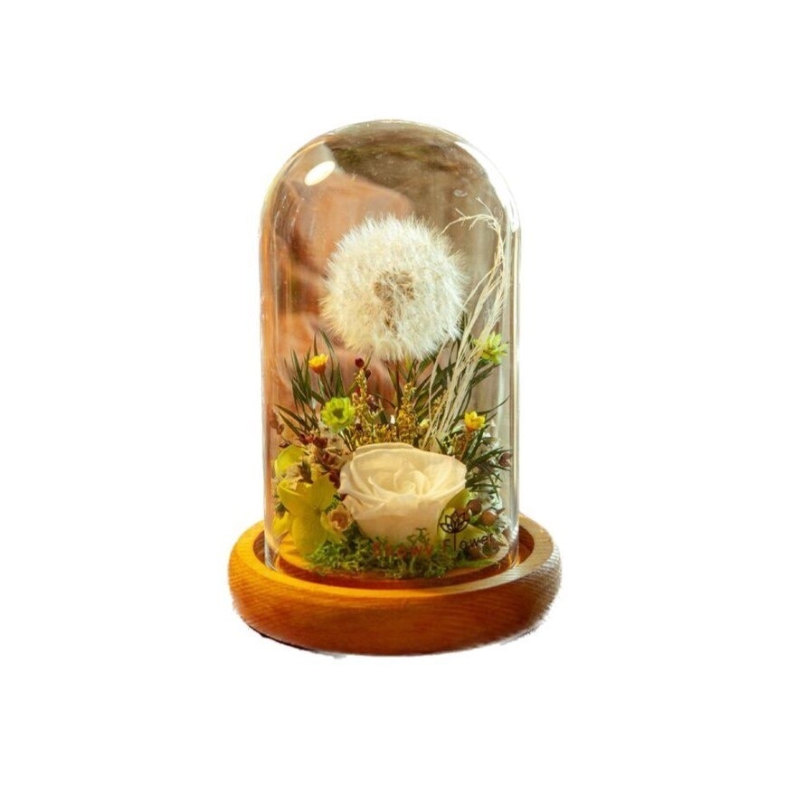 Mystical Green Preserved Dandelion Glass Dome