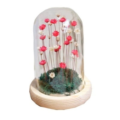 SNOWY FLOWER The Purest Red Snowy-Flowers 1 Piece