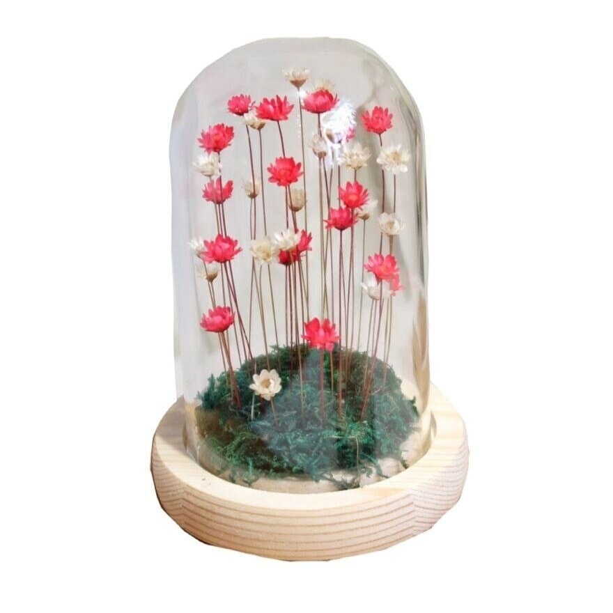 The Purest Red Snowy-Flowers 1 Piece