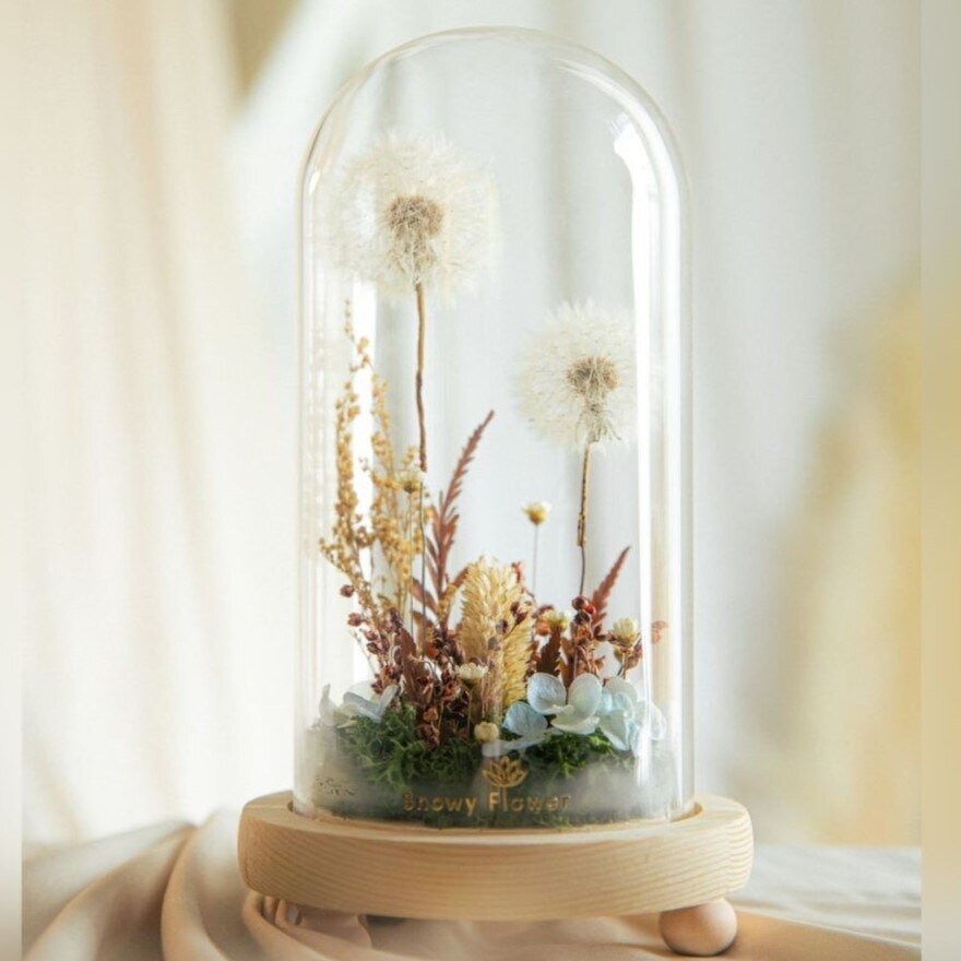 Nature Dandelion Glass Dome