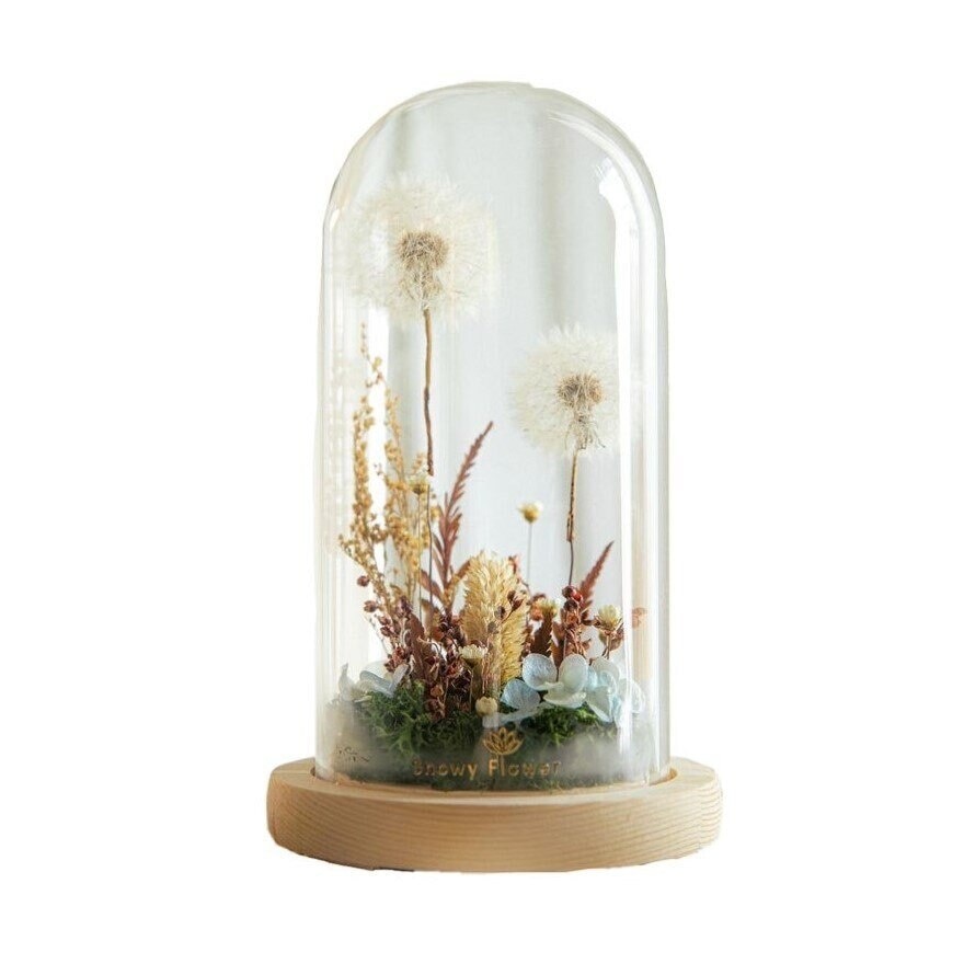 Nature Dandelion Glass Dome